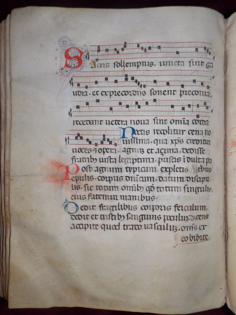 Sacris solemnis