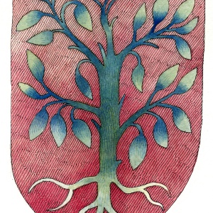 IV - Storia del Giudicato