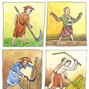 IX - Il popolo e la Carta de Logu
